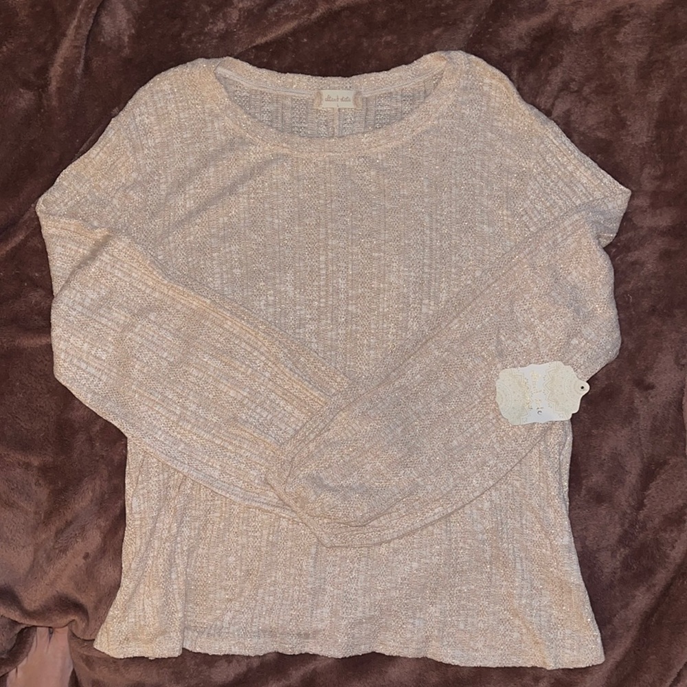 Altar’d State Sparkly long sleeve top